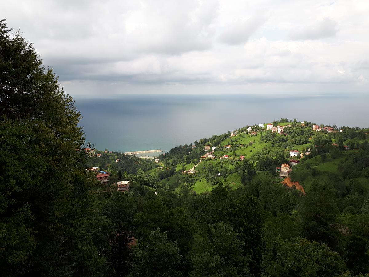 Kaf Dagi Konak Hotel Rize Luaran gambar